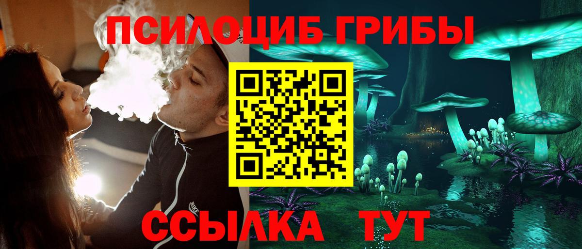 Галлюциногенные грибы Cubensis  Псилоцибиновые грибы Psilocybe  Углич  Вход с VPN 