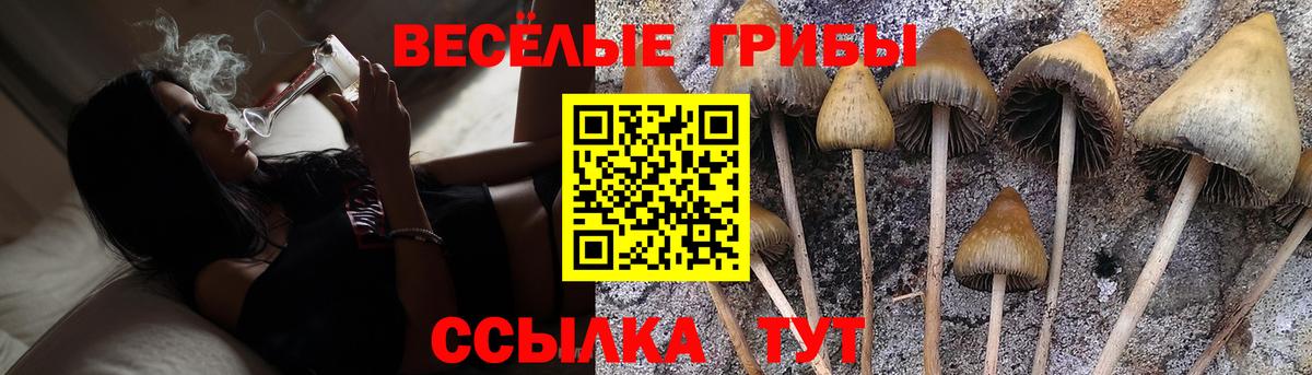 Псилоцибиновые грибы GOLDEN TEACHER Углич